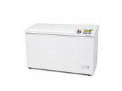 Biryusa 300 litr dərin dondurucu — 2