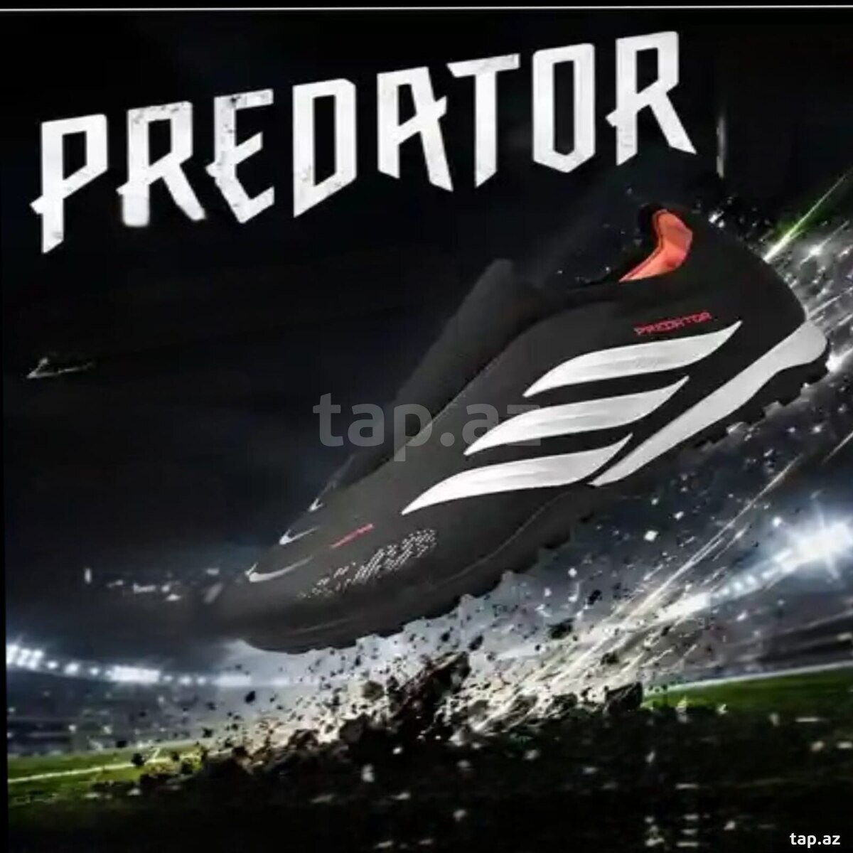 Kranponlar (predator) — 1