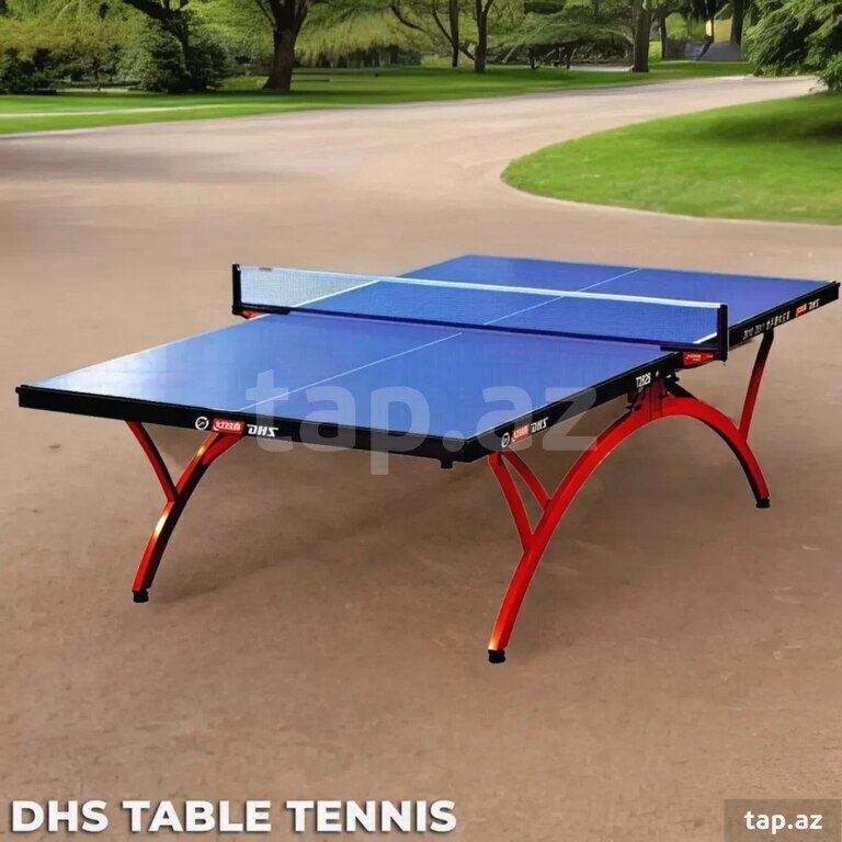 DHS table tennis — 1
