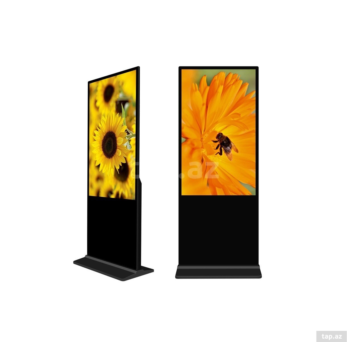 IS-AD55F 55 düym LCD reklam stendi — 1